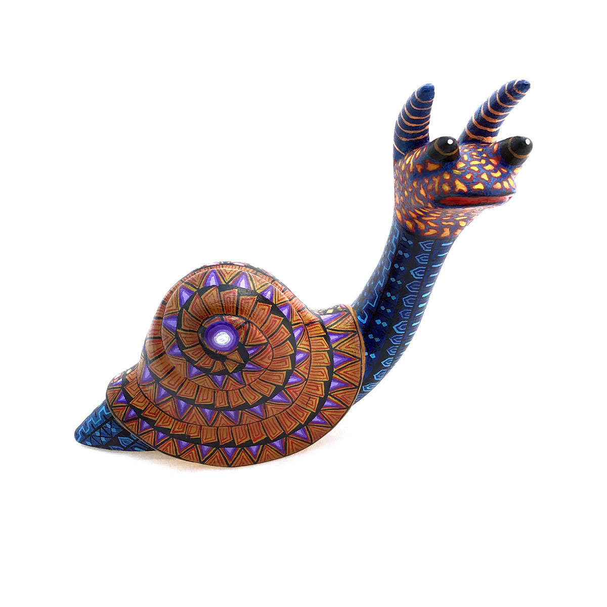 Esmeralda Cruz Sosa Esmeralda Cruz Sosa: Snail shelled gastropod