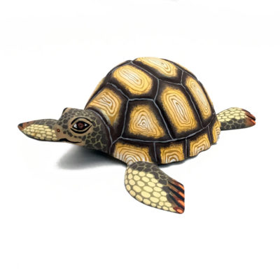 Eleazar Morales Eleazar Morales: Sea Turtle sea turtle