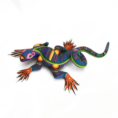 Magaly Fuentes & Jose Calvo Magaly Fuentes & Jose Calvo: Larger Colorful Lizard Lizards