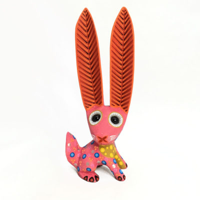 Azucena Santiago Azucena Santiago: Long Ear Rabbit Rabbits