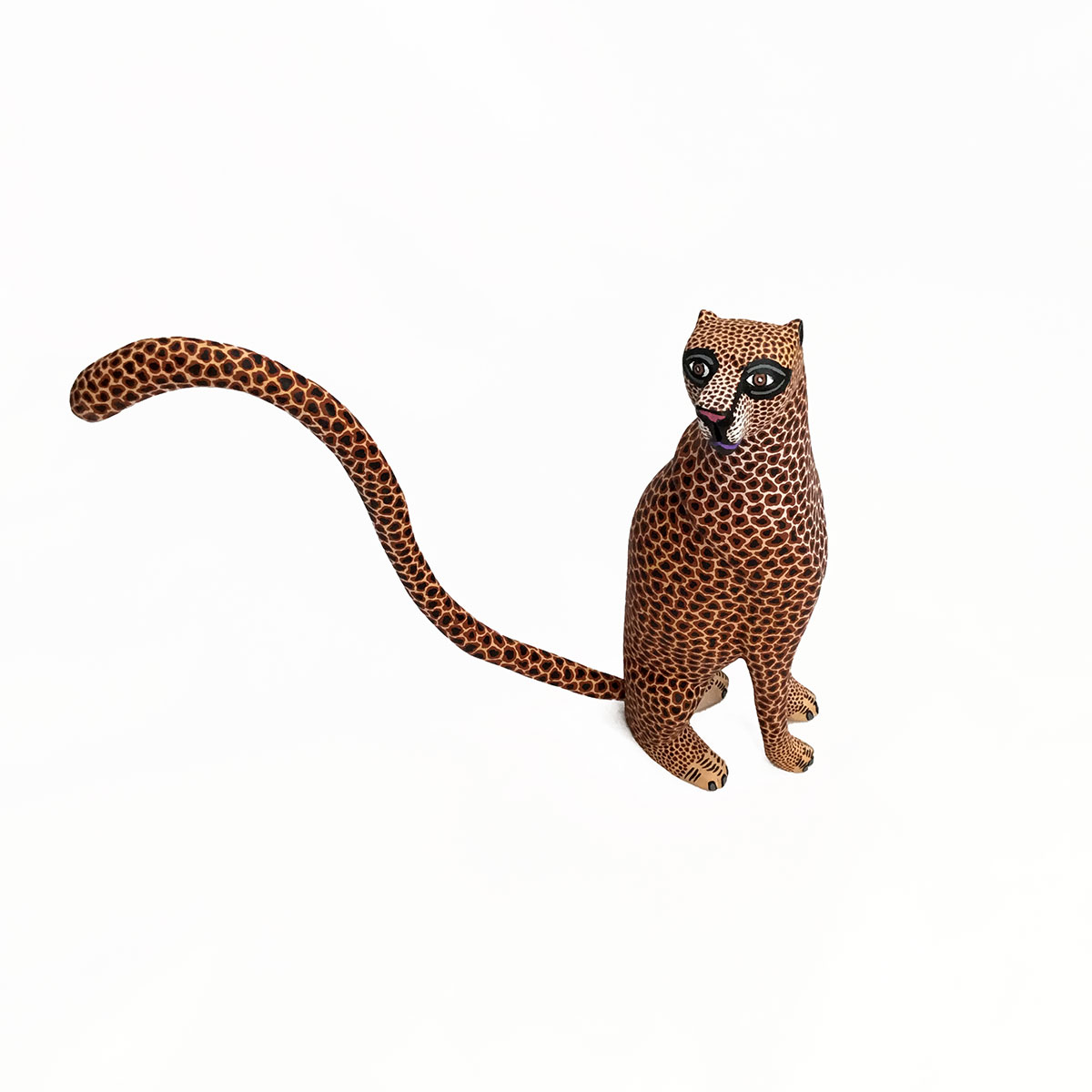 Eleazar Morales Eleazar Morales: Sleek Cheetah African Animals