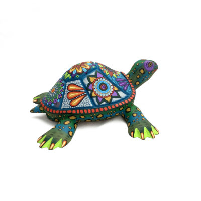 Damian & Beatriz Morales Damian & Beatriz Morales: Colorful Turtle Reptiles & Amphibians