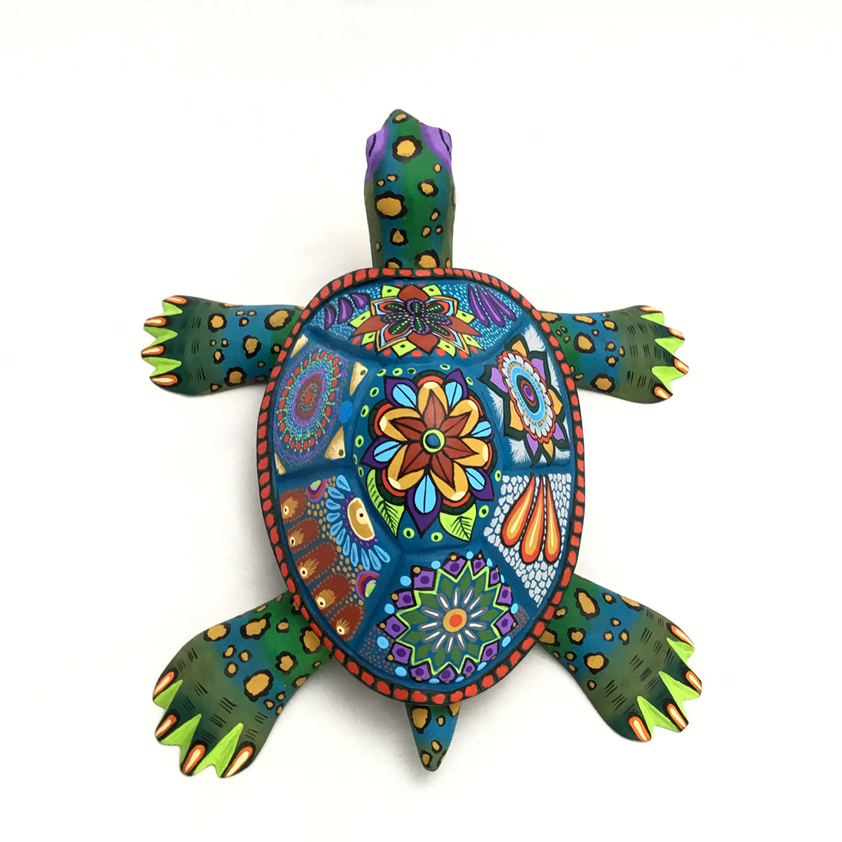 Damian & Beatriz Morales Damian & Beatriz Morales: Colorful Turtle Reptiles & Amphibians