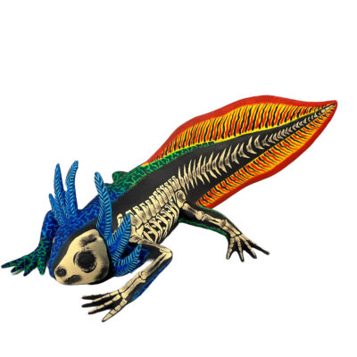 Eleazar Morales Eleazar Morales: Axolotl Skeleton Fantasy