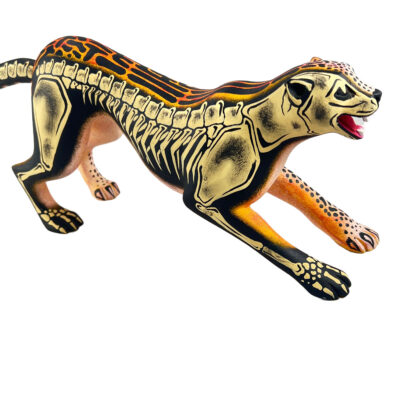 Eleazar Morales Eleazar Morales: Cheetah Skeleton Cats
